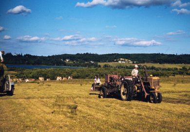 L. Frazier's farm in Trenton, probably in the early 1950s