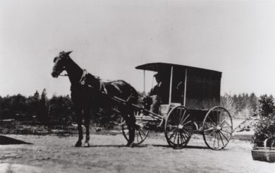 Bordeaux Dairy wagon