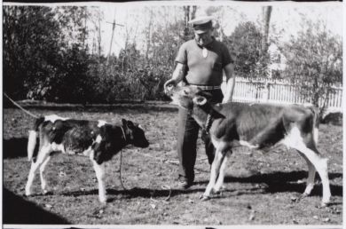 O.J. Clark with cows (photo 1 of 2)