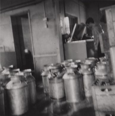 Milk plant with milk cans for picking up raw milk from local farms.