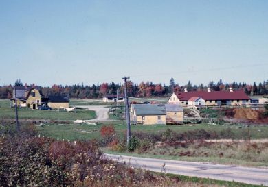 L. Frazier's farm in Trenton, probably in the early 1950s