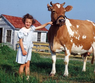 Linda Porter with a Guernsey