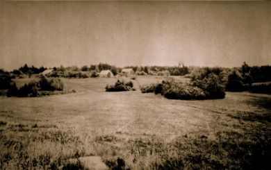 Lunt farm (photo provided by Louene Peck)