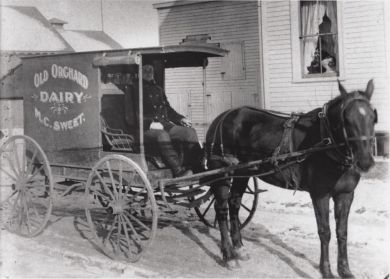 Marcus Sweet's son Henry Sweet and horse-drawn milk wagon