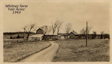 Whitney "Fair Acres" farm, 1943